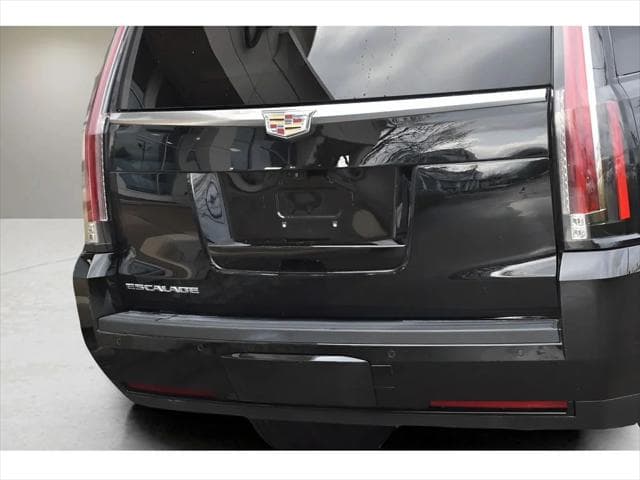 2019 Cadillac Escalade ESV SUV in Black Raven thumbnail 31