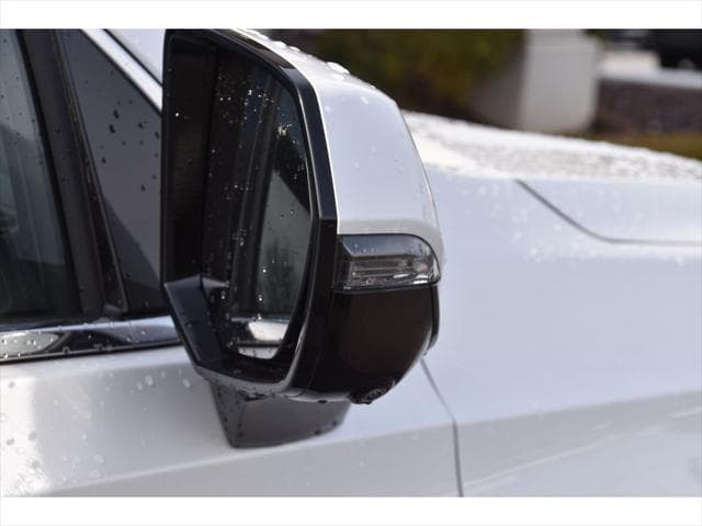 2023 Cadillac Escalade ESV SUV in Crystal White Tricoat thumbnail 31